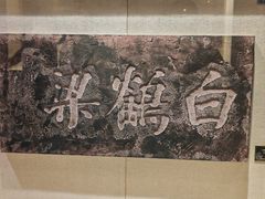 -白鹤梁水下博物馆