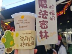 -猫的魔法密林(衣裳街店)