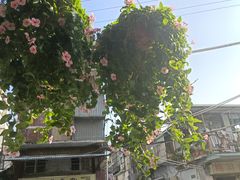 -溪岸路花鸟市场