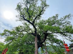 -新安江山水画廊风景区