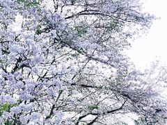 -杭州少年儿童公园