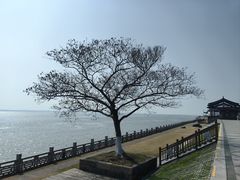 -观潮胜地公园