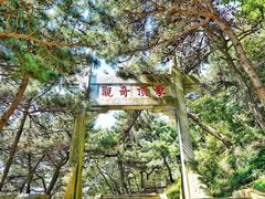 -沂蒙山旅游区龟蒙景区