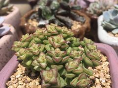 -无锡文化工艺品市场(槐古路店)