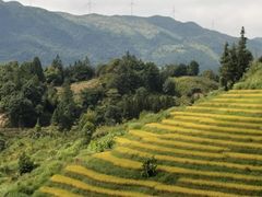 -南靖田螺坑土楼群景区