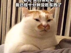 -锅十二涮肉馆·鞭蛋锅