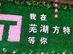 -芜湖方特东方神画