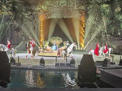 -广州长隆国际大马戏