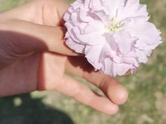 -瑞幸咖啡(海螺大厦店)