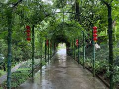 -韶关经律论国际酒店温泉