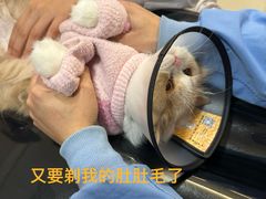-御宝贝24h宠物医院·转诊中心·CT核磁血透中心(厦门总院)