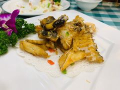 -寻味顺德·南记酒家·传统顺德菜·鱼生(广源路店)
