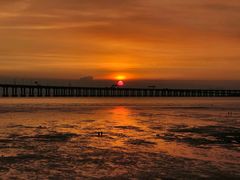 -宝安西湾红树林湿地公园