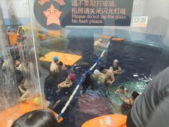 -蓝旗游泳·青训·亲子水域中心(方庄中心)
