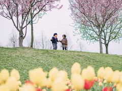 -上海辰山植物园