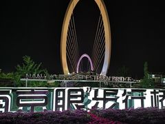 -南京眼步行桥