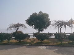 -鹰龙海畔度假酒店(咸祥店)