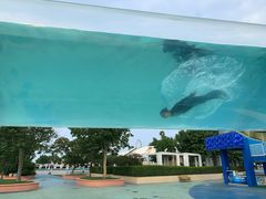 -秦皇岛乐岛海洋王国