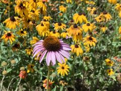 -长春世界雕塑园冰雪艺术天地