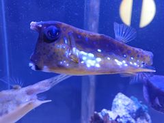 -太平洋海底世界