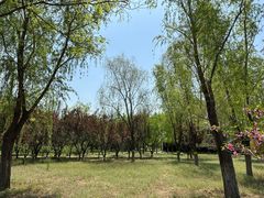 -永定河休闲森林公园