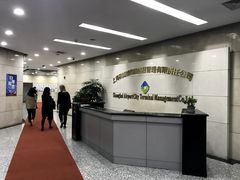 -上海机场-城市航站楼