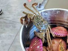 -仙螺岛海鲜自助餐厅(总店)
