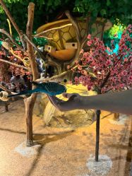 -酷嗒动物文化乐园(cutezoo西溪乐天城店)