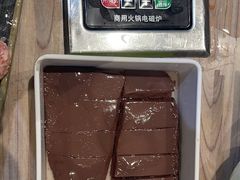 -探窝·竹笙椰子鸡(杨箕店)