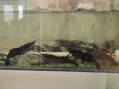 -古尚锦酒楼·水上餐厅