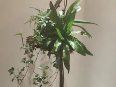 -翁暖茶馆(滨江东总店)