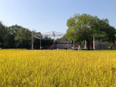 -北坞公园