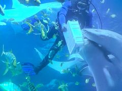 -太平洋海底世界