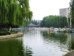 -团结湖公园