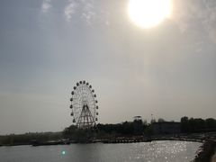 -白洋淀景区