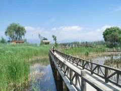 -野鸭湖国家湿地公园