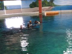 -秦皇岛乐岛海洋王国