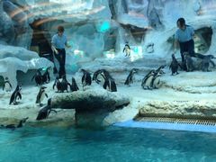 -广东省拱北口岸中国旅行社(华宾营业部)