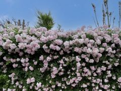 -廊坊文化艺术中心