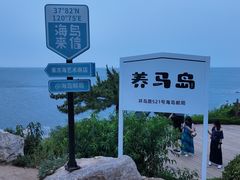 -养马岛旅游度假区