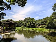 -兰亭风景区