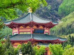 -龙口南山旅游景区
