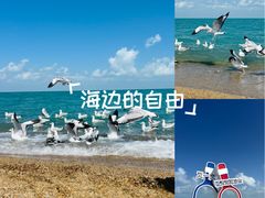 -青海湖国家重点风景名胜区