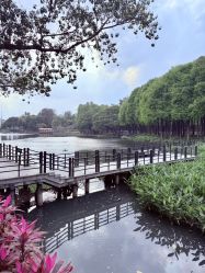-致友月子会所(麓湖店)