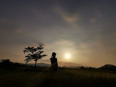 -海南霸王岭国家森林公园