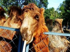 -长白岛森林公园