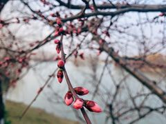 -灞河西岸滨河公园