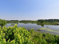 -东郊湿地公园