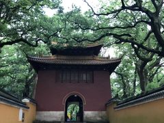 -普陀山风景名胜区-法雨禅寺