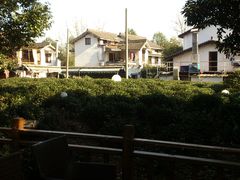 DSC_6969-西湖茶墅